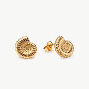 Ammonite Earrings