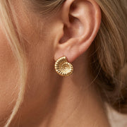 Ammonite Earrings