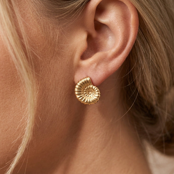 Ammonite Earrings