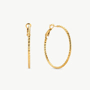 Large Gold Hoop Earrings
