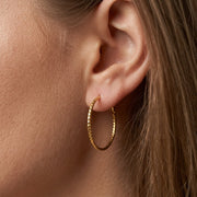 Large Gold Hoop Earrings