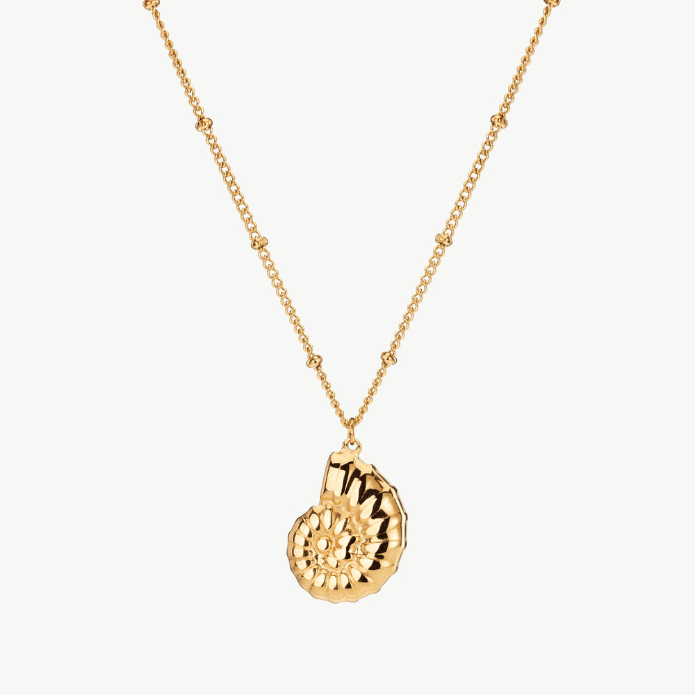 Nautilus Necklace