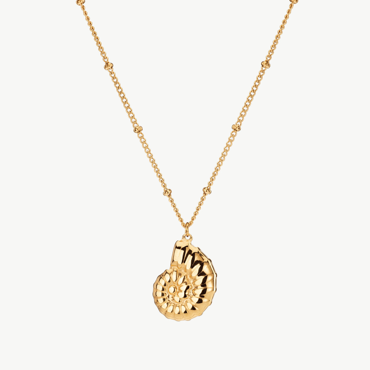 Nautilus Necklace