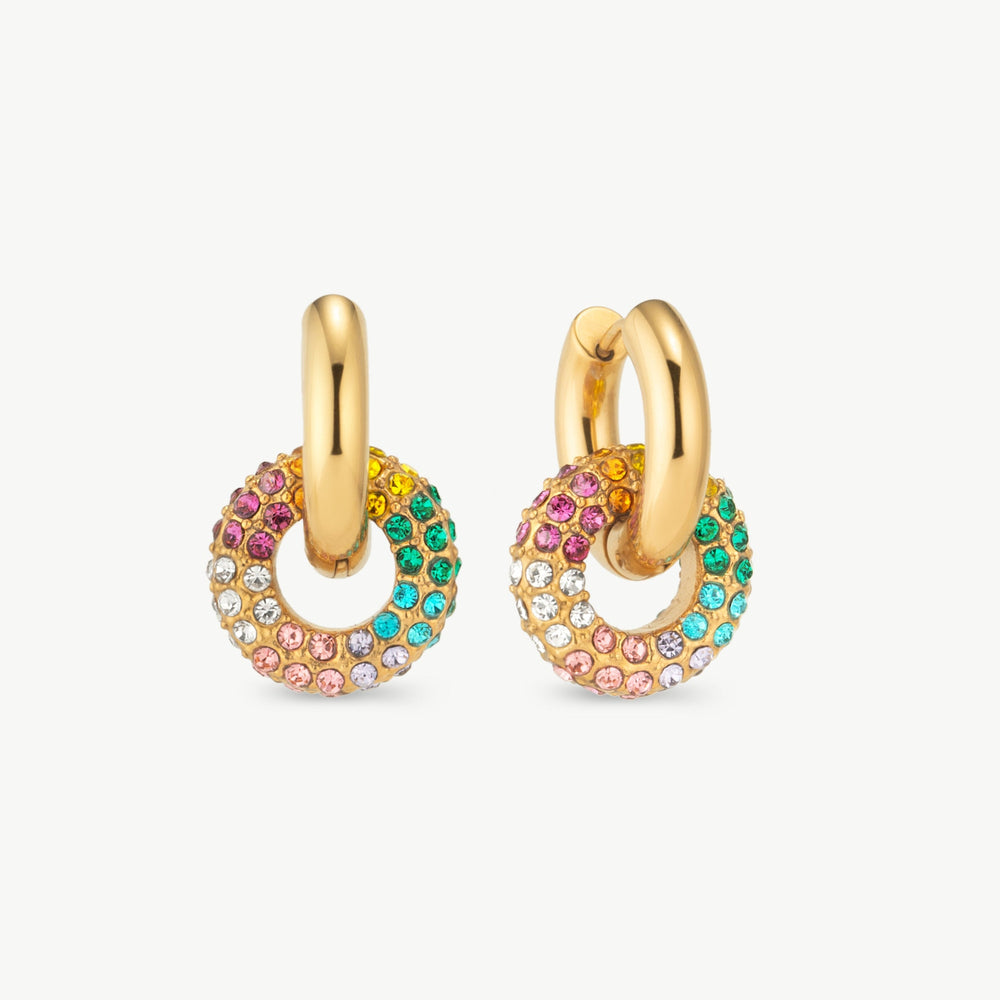 Rainbow Hoop Earrings