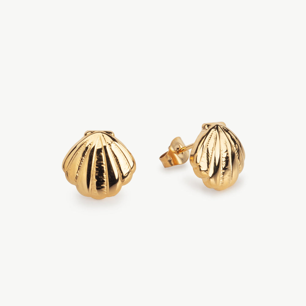 Scallop Shell Earrings