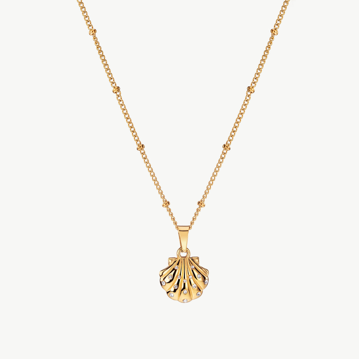 Seashell Pendant Necklace