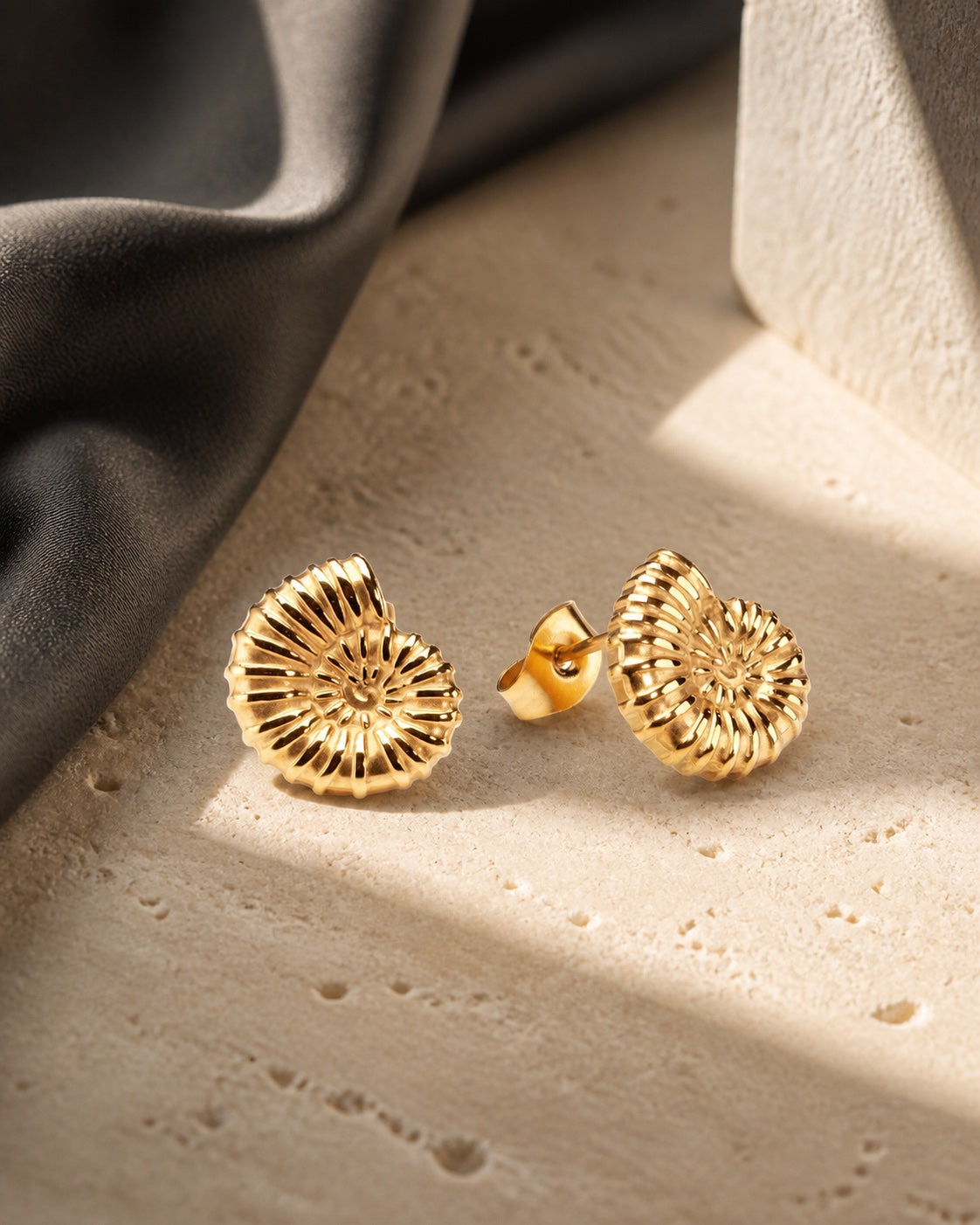 DENTA Ammonite still life